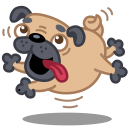 Imagem de um Pug
